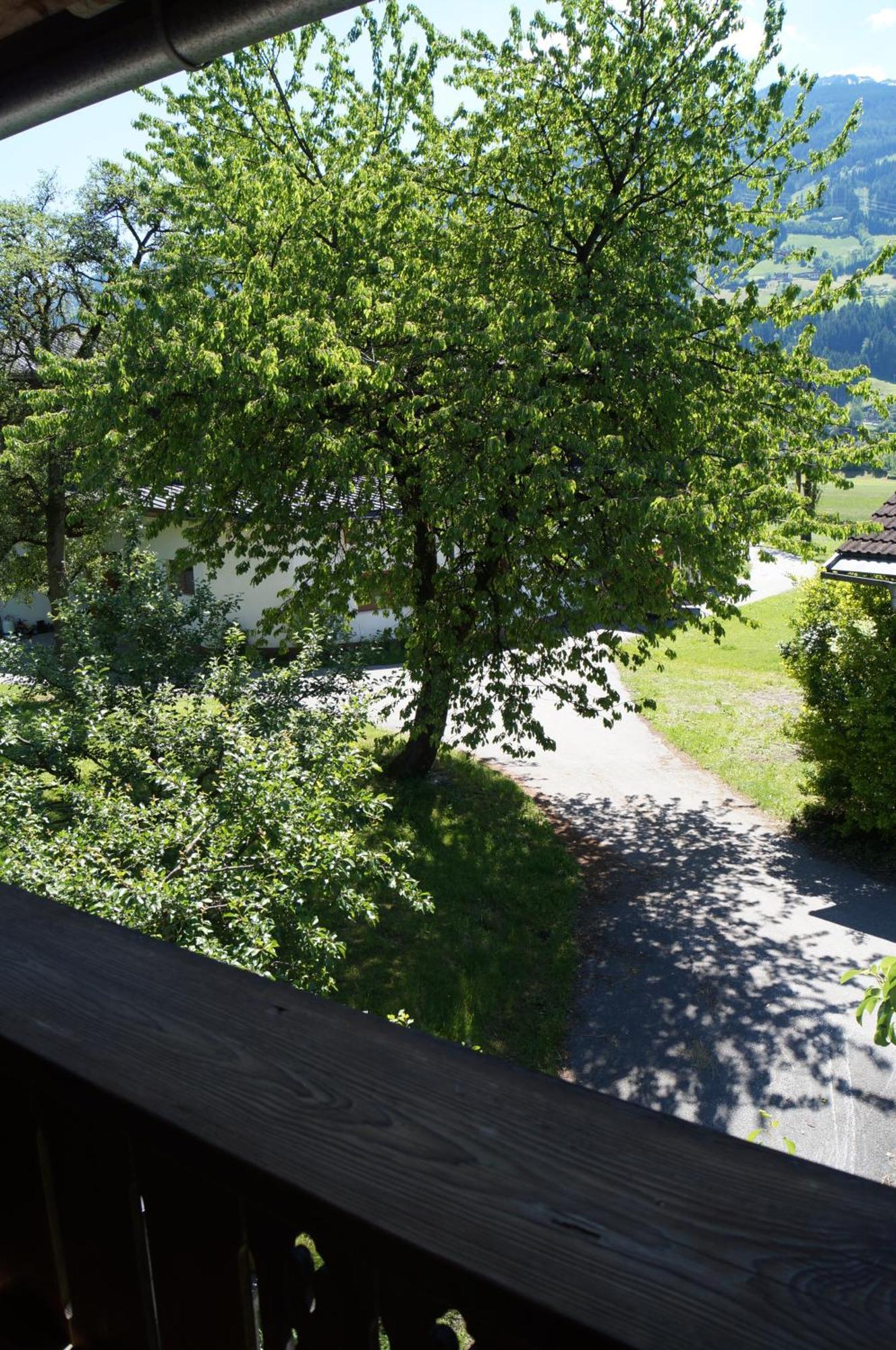 Farm stay Boeglhof Stumm